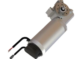 Worm Gear Motor