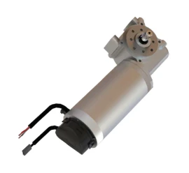 Worm Gear Motor